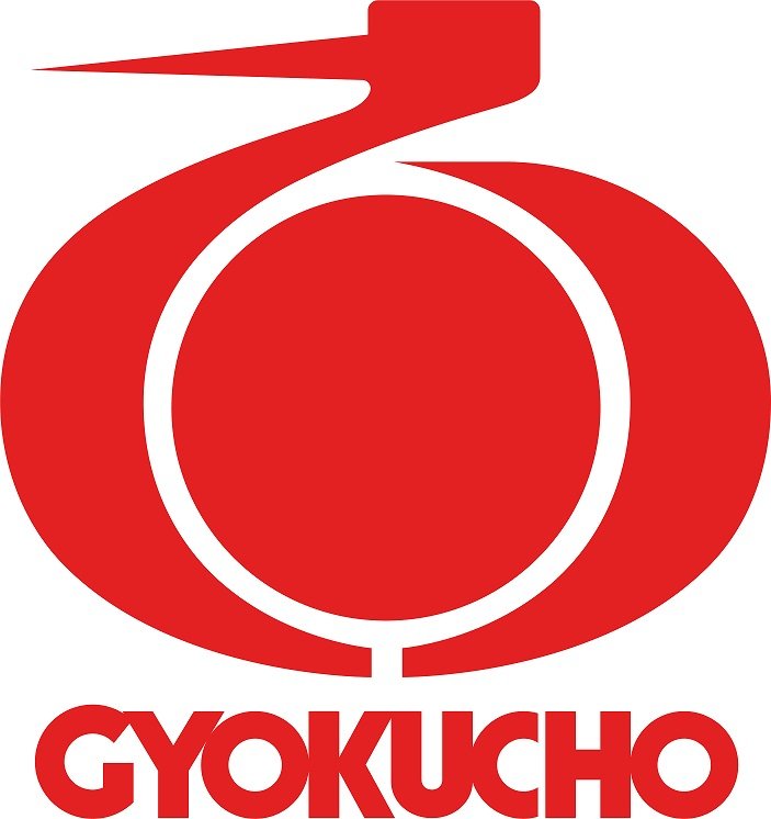 Gyokucho Gyokucho 662 Ryoba Fine 240mm + Spare Blade